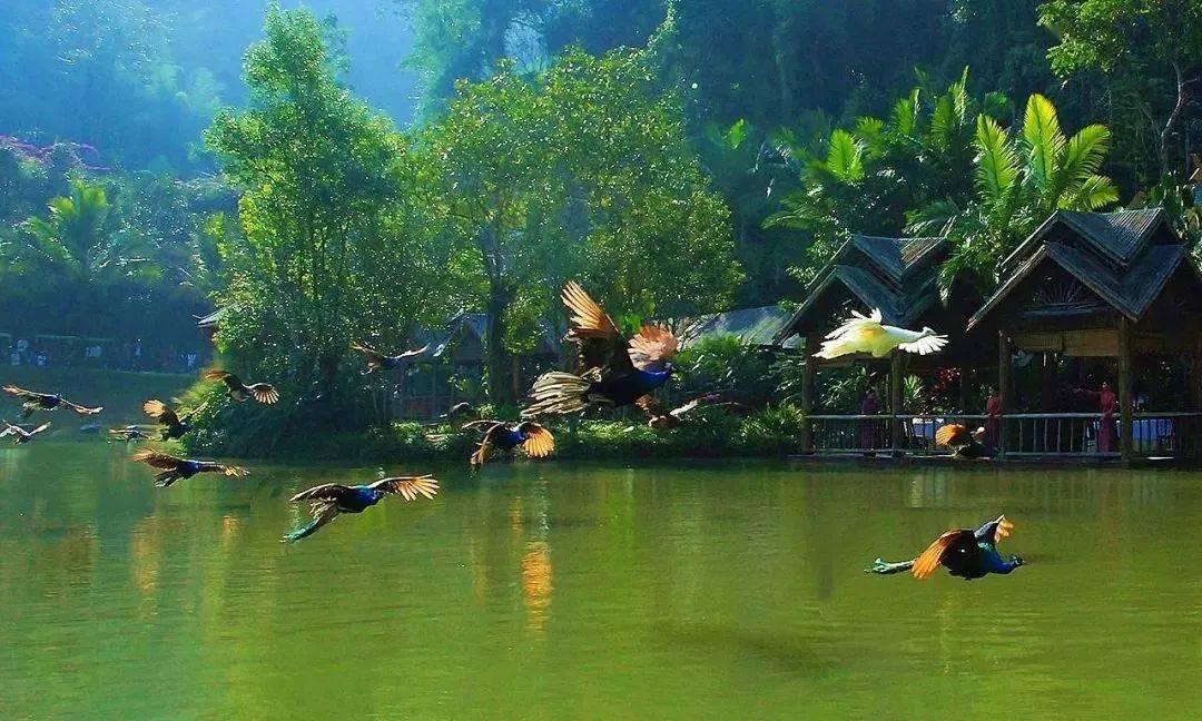 万词王